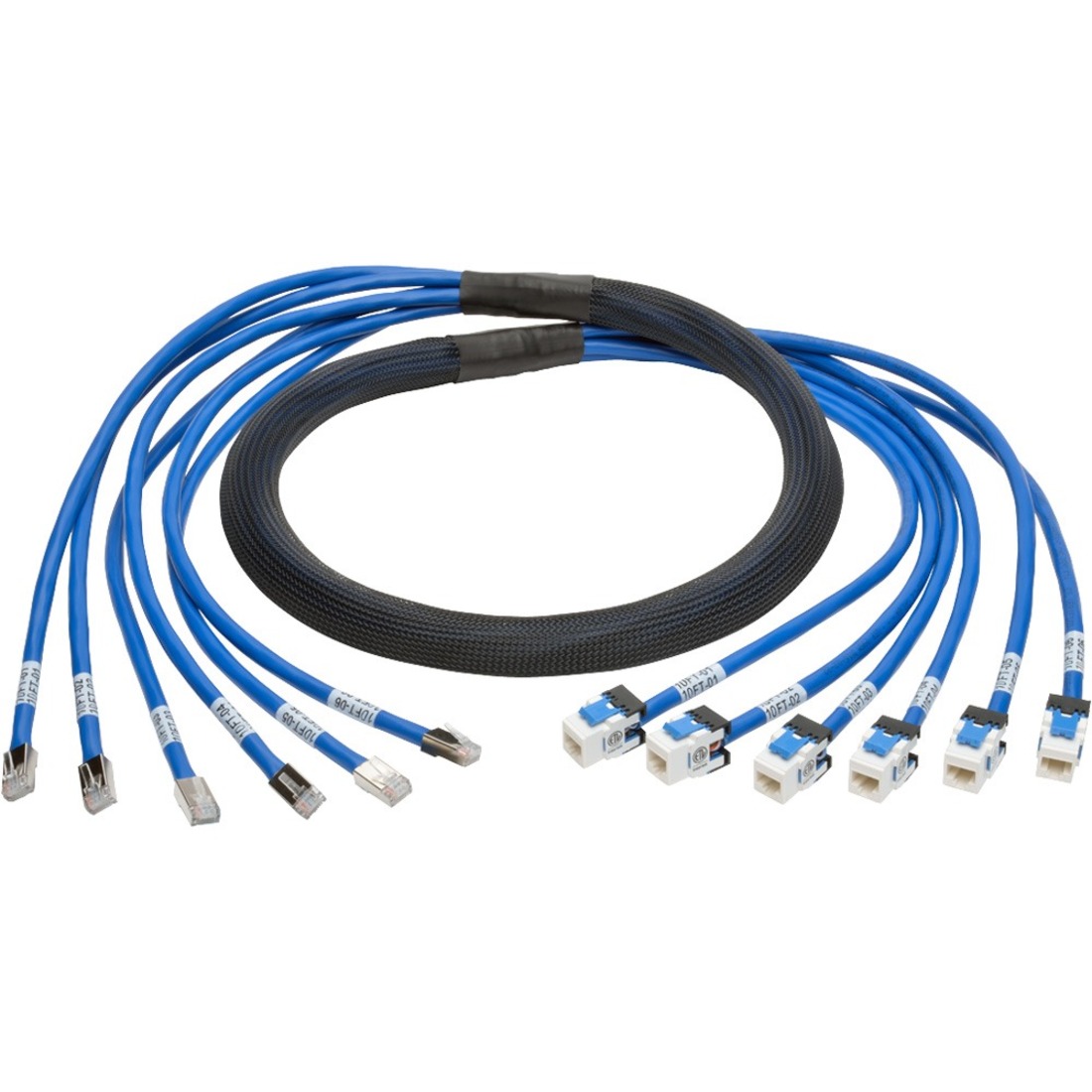N261-010-6MF-BL Cat.6a Patch Network Cable