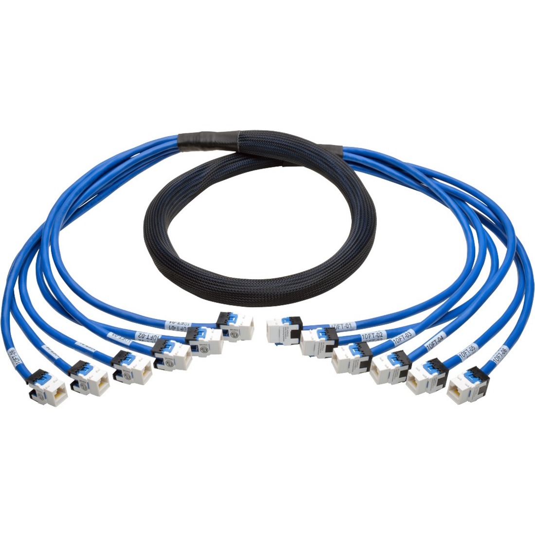 Augmented Cat6/Cat6a Pre-Terminated Copper Trunk Bundle, (6x) RJ45 (F/F), 10 ft