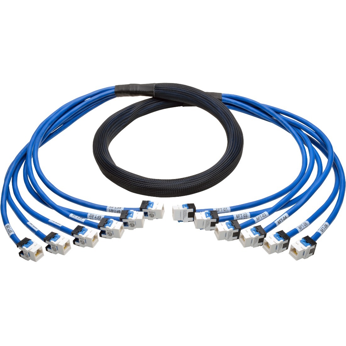 Augmented Cat6/Cat6a Pre-Terminated Copper Trunk Bundle, (6x) RJ45 (F/F), 6 ft