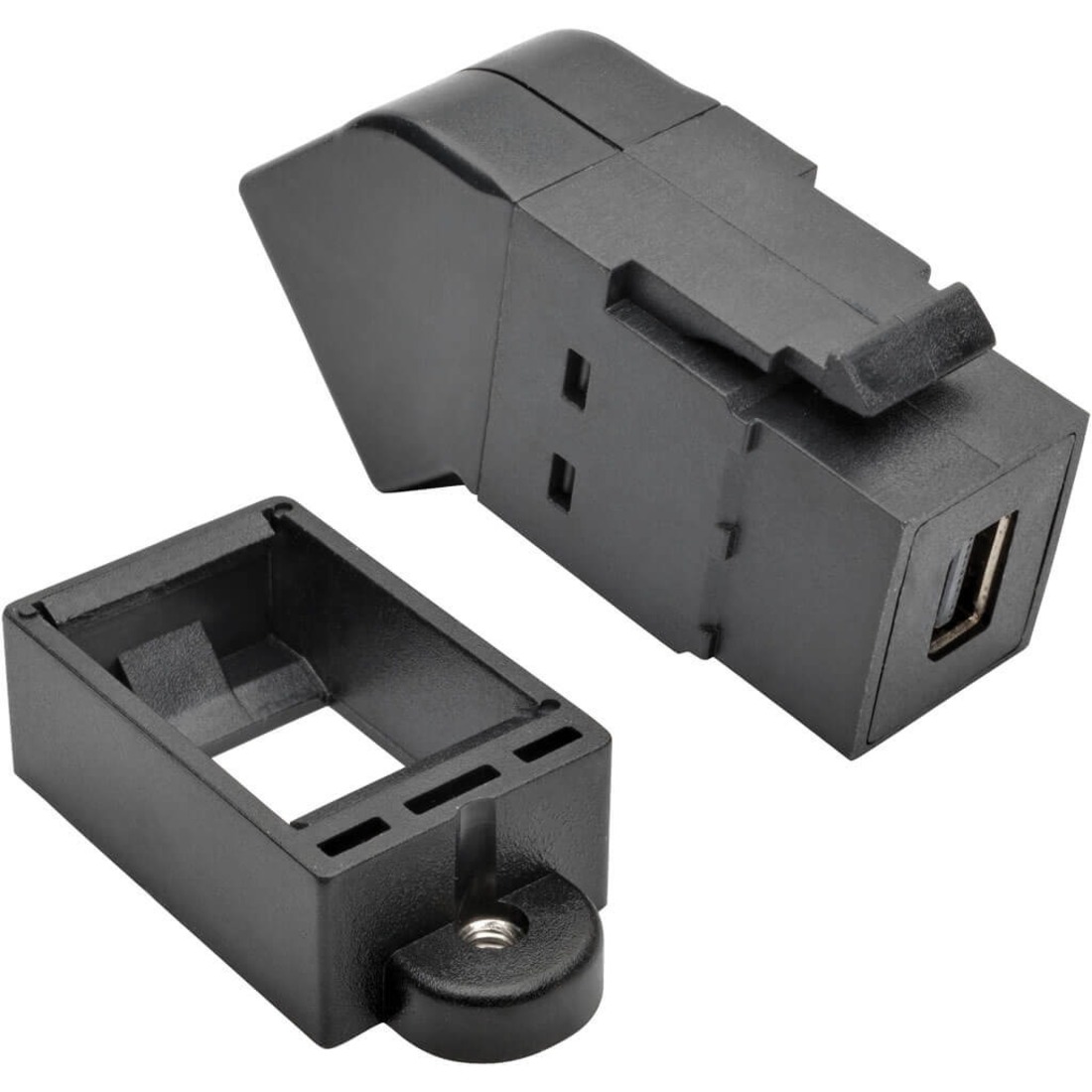 P169-000-KPA-BK DisplayPort/Mini DisplayPort Audio/Video Adapter