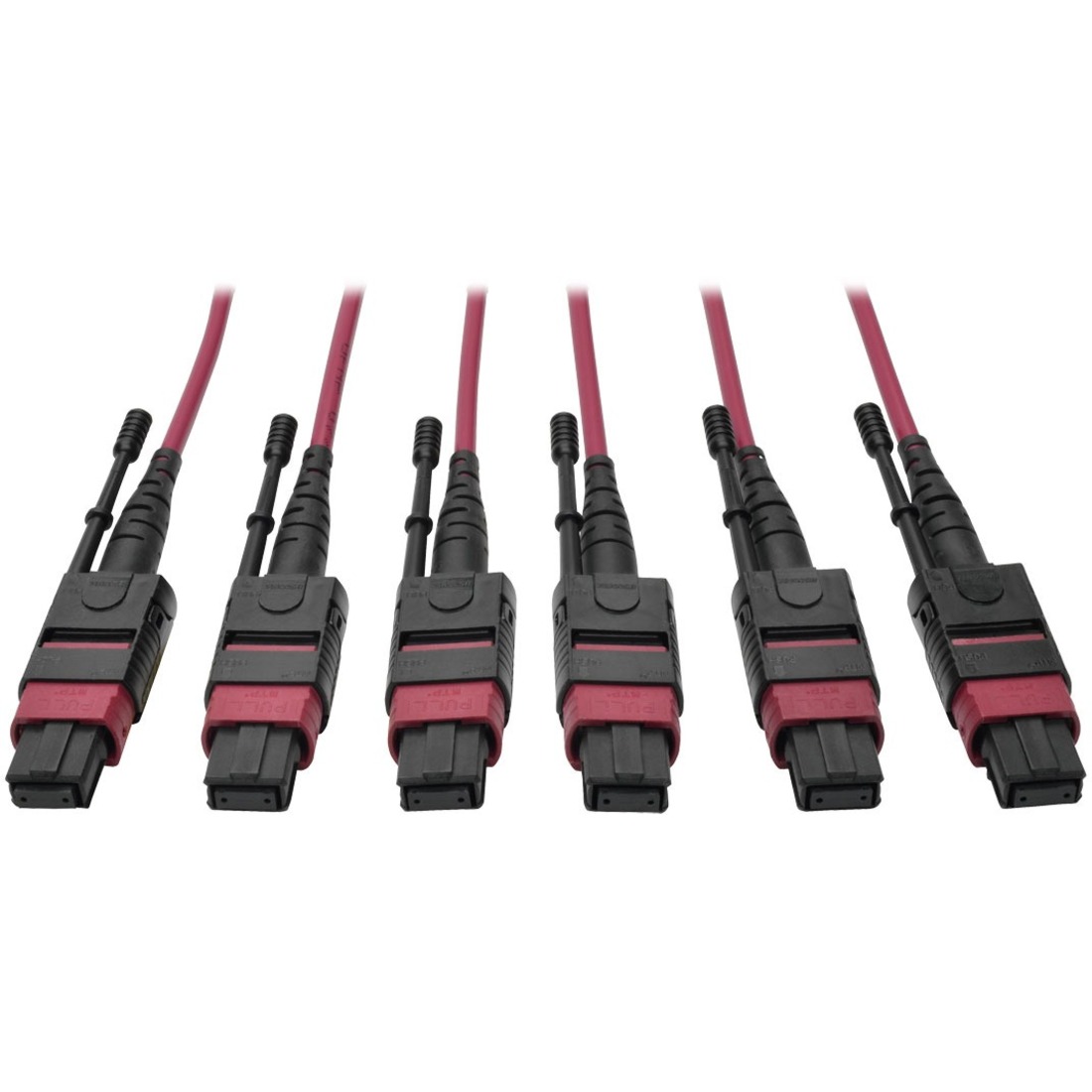N858-61M-3X8-MG MTP/MPO Multimode Base-8 Trunk Cable, Magenta, 61 m