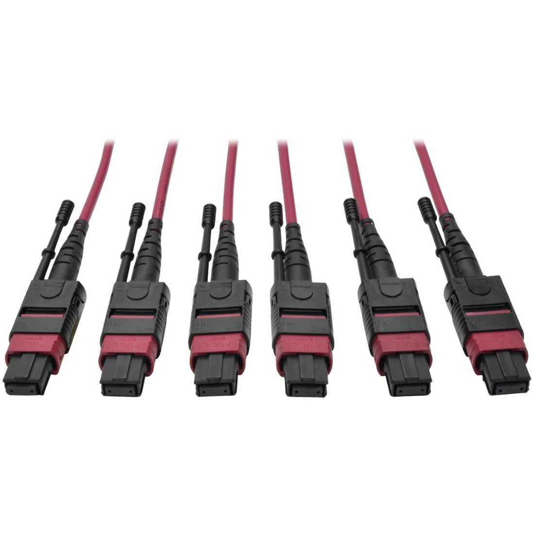 N858-11M-3X8-MG MTP/MPO Multimode Base-8 Trunk Cable, Magenta, 11 m