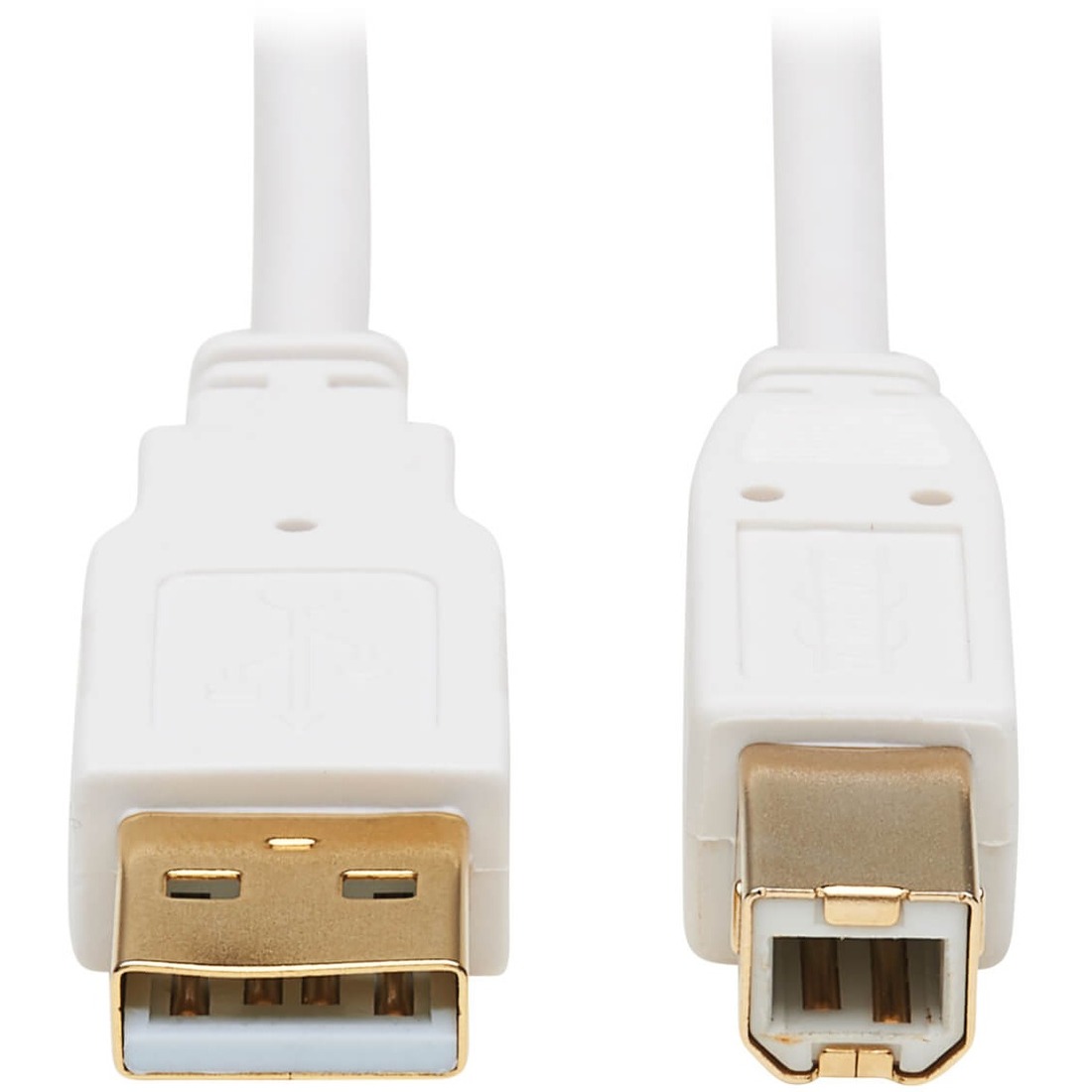 USB-A to USB-B Antibacterial Cable (M/M), USB 2.0, White, 10-ft. (3.05 m)