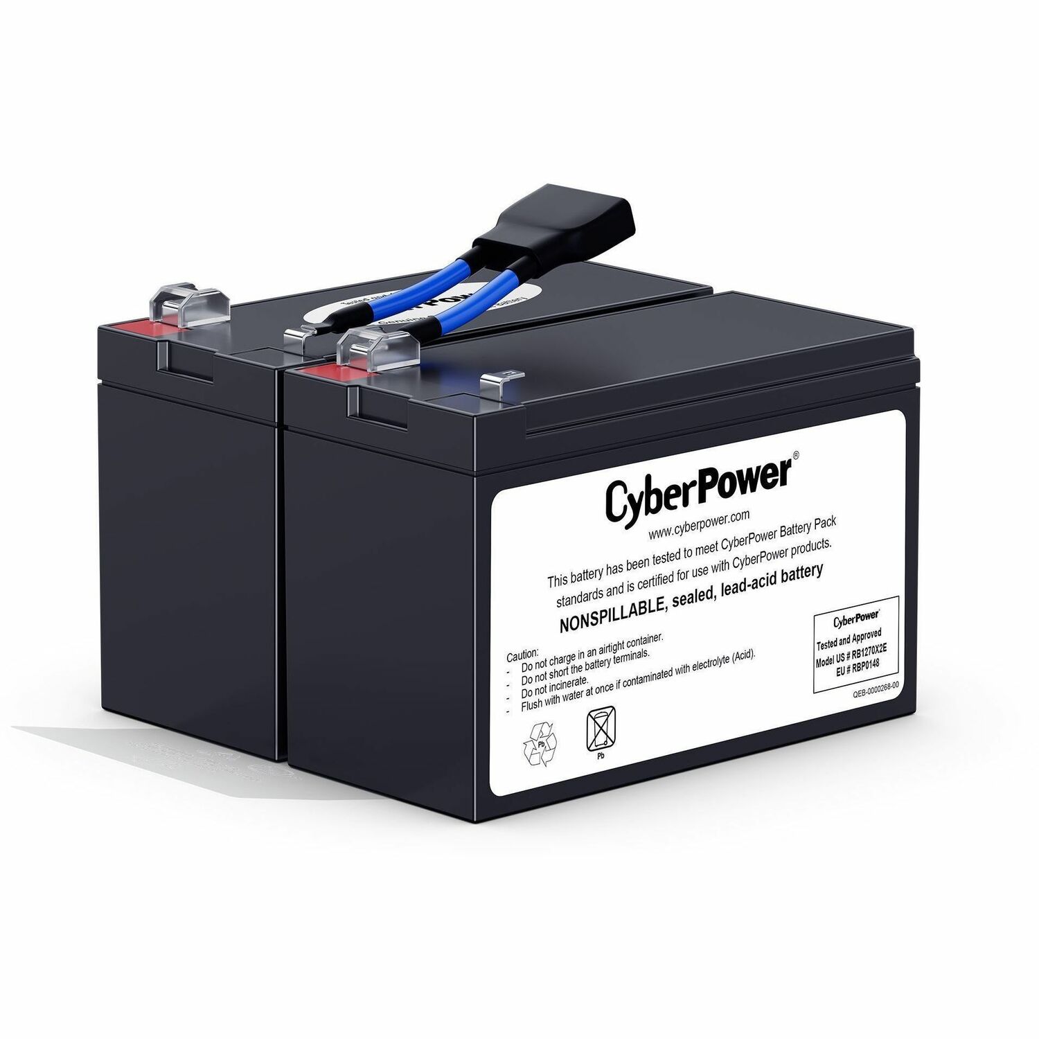 RB1270X2E UPS Battery Pack