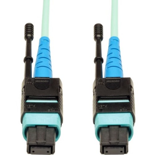 1 Meter MTP / MPO Patch Cable, 24 Fiber, 100GbE Aqua OM3 Plenum