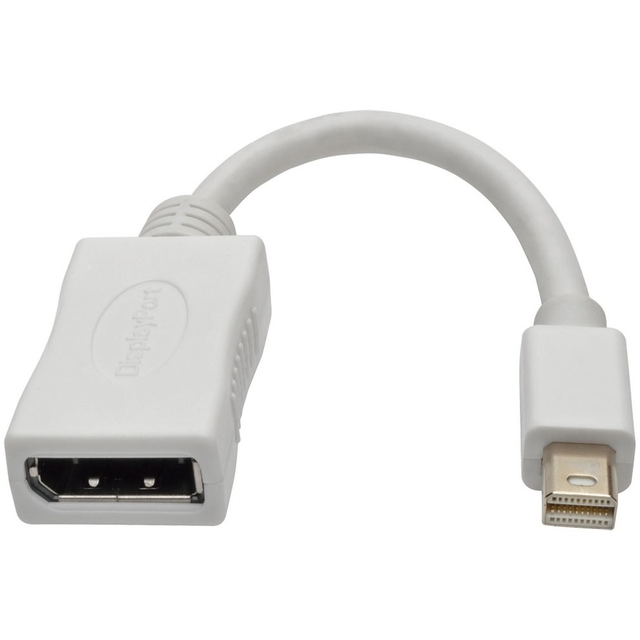 DisplayPort/Mini DisplayPort A/V Video Cable
