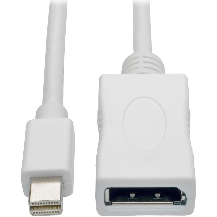 Keyspan P139-010-DP-V2B DisplayPort/Mini DisplayPort Audio/Video Cable