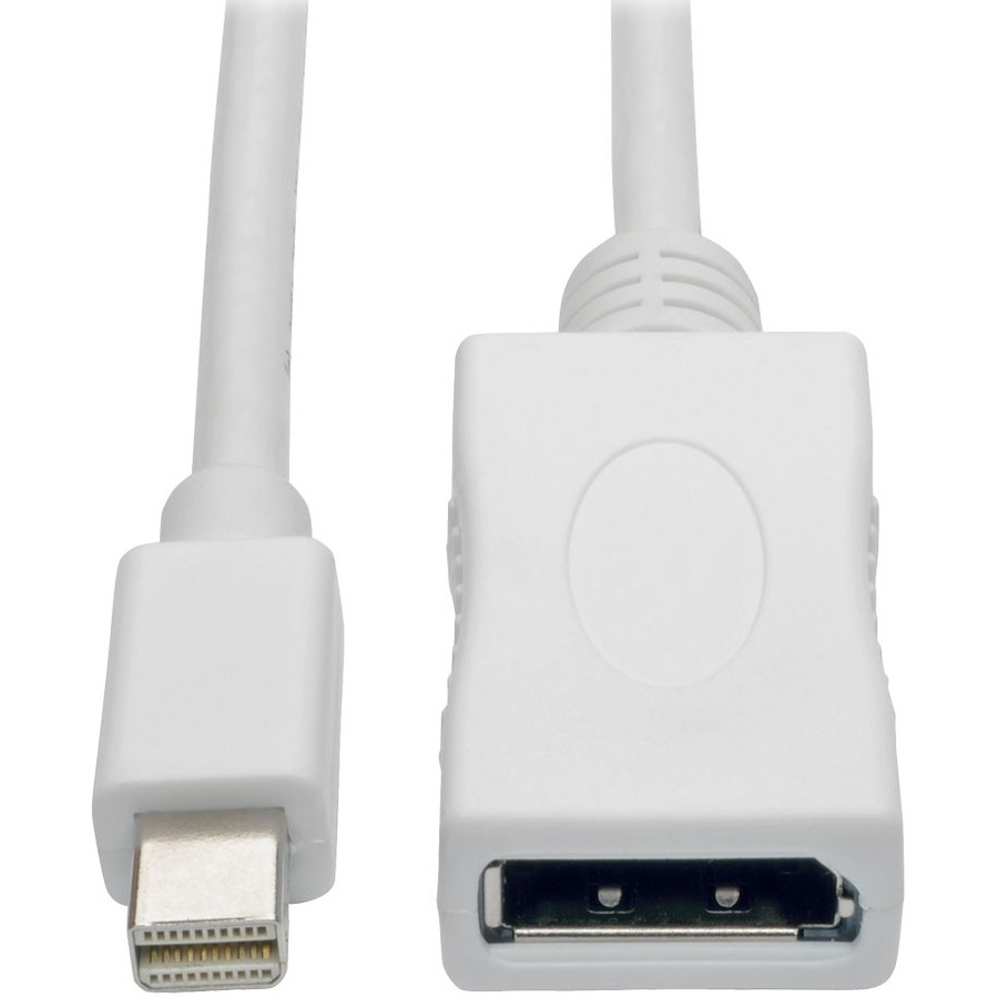 Keyspan P139-006-DP-V2B DisplayPort/Mini DisplayPort Audio/Video Cable