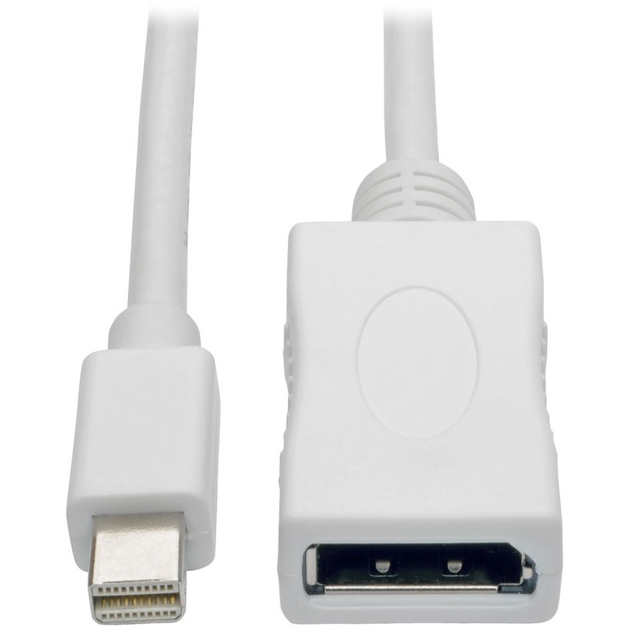 Keyspan P139-003-DP-V2B DisplayPort/Mini DisplayPort Audio/Video Cable