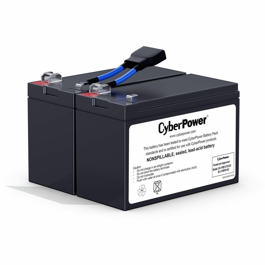 RB1270X2D Battery Unit
