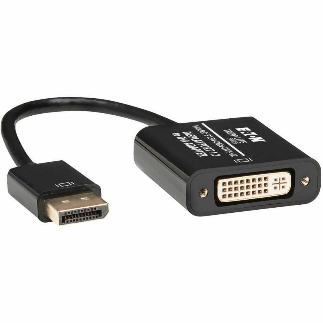 DisplayPort/DVI Video Cable