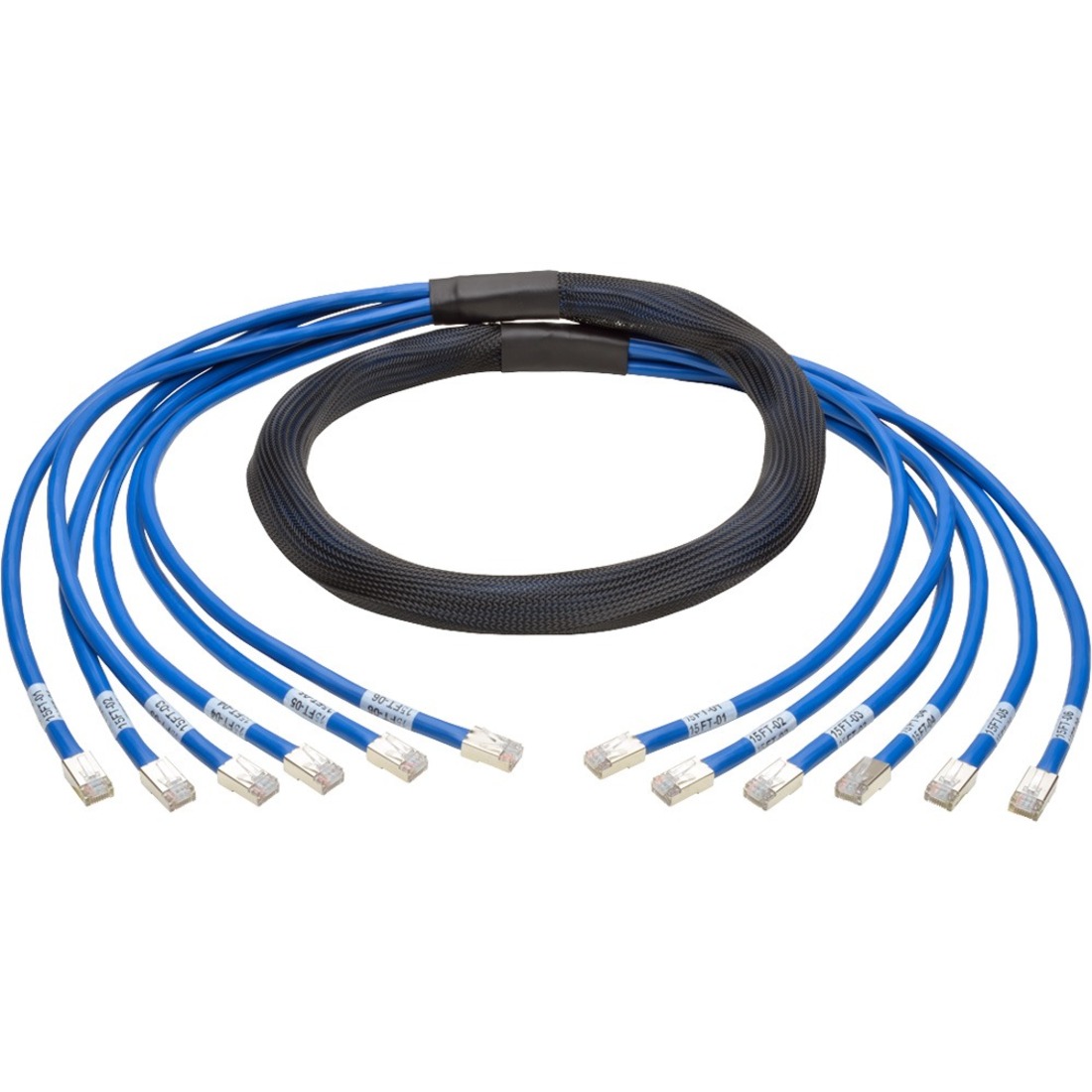N261-015-6MM-BL Cat.6a Patch Network Cable