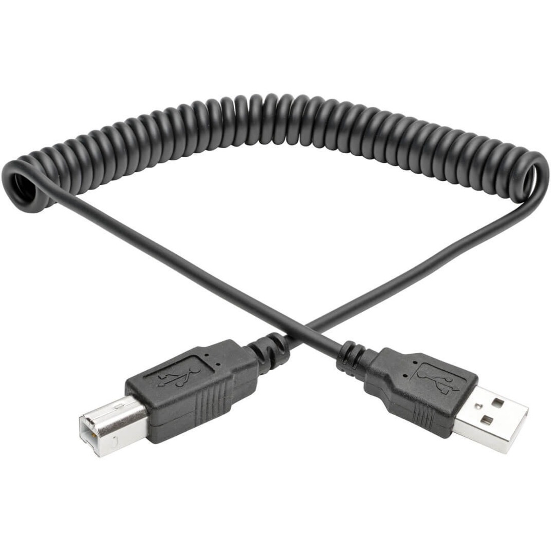 USB 2.0 Hi-Speed A/B Coiled Cable (M/M), 10 ft