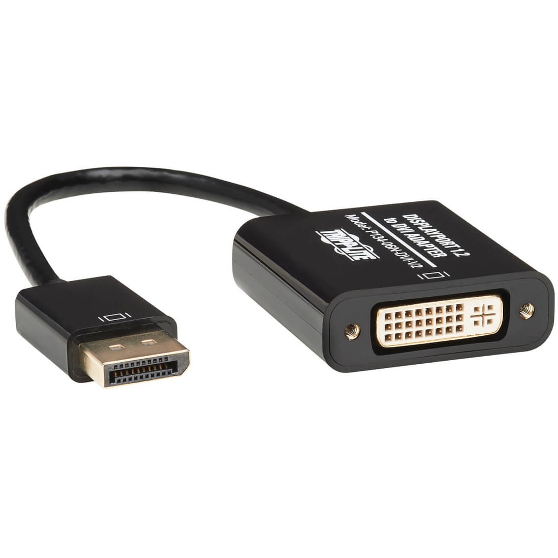 PP134-06NDVIV2BP Displayport/DVI Video Cable