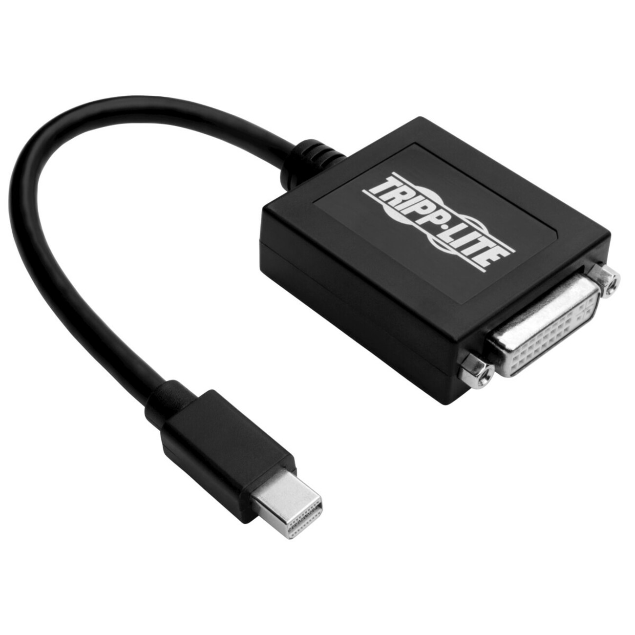 Keyspan P137-06N-DVIB DVI/Mini DisplayPort Cable