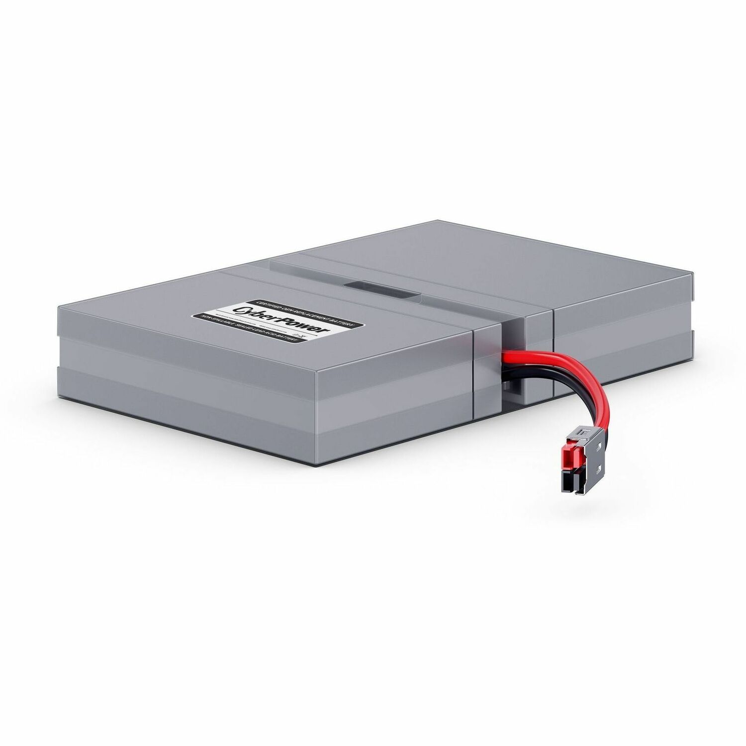 RB0690X2A Battery Kit