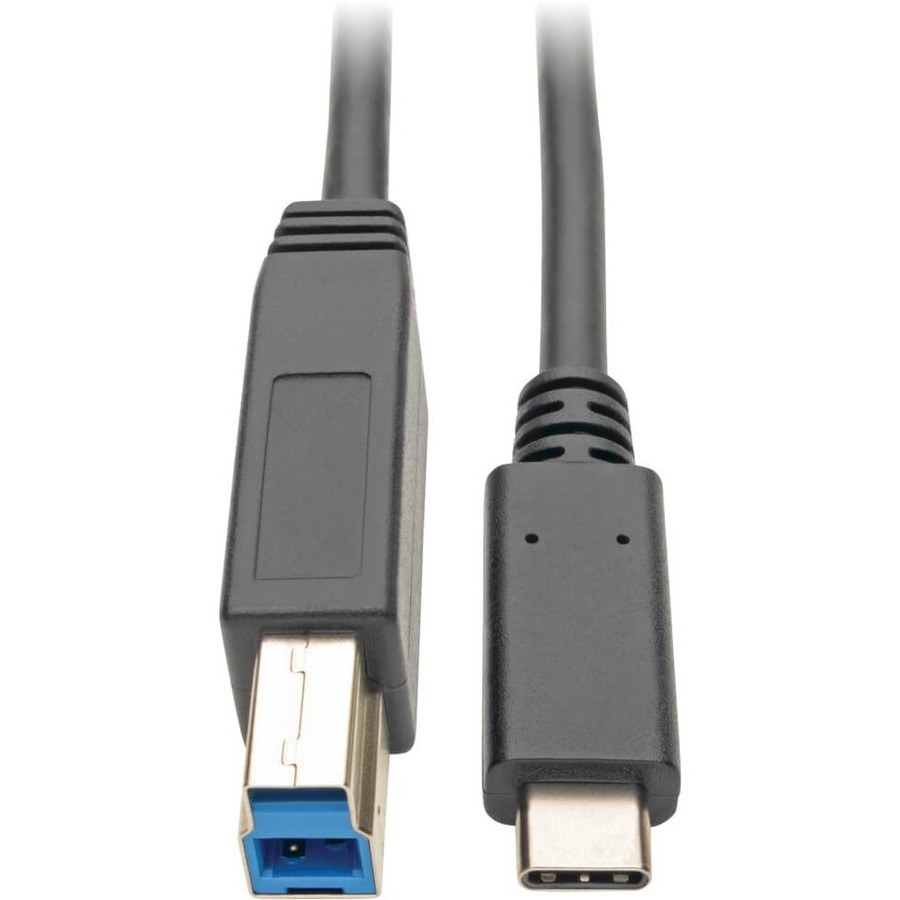 U422-006 USB Type-C to USB Type-B Cable, 6 ft.